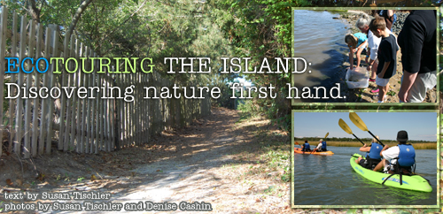 Ecouring the Island by Susan Tischler. Photos by Susan Tischler and Denise Cashin