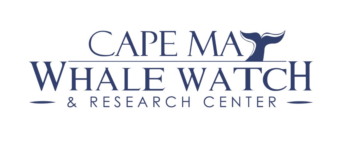Cape May Whale Watch & Research Center