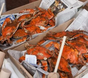 Boxes of steamed crabs and wooden hammers on newspapers