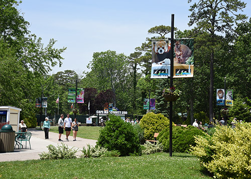 Cape May County Park and Zoo