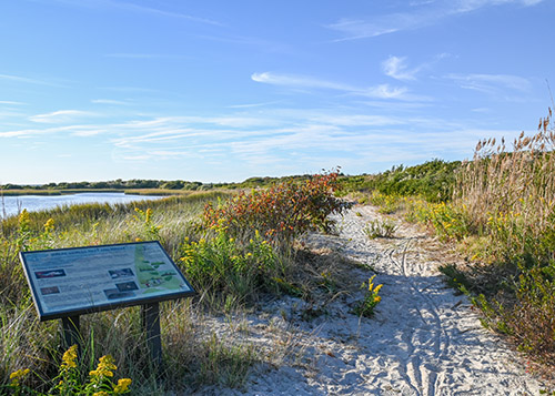 A nature trail in Stone Harbor Point 