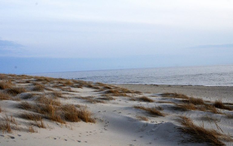 Gentle dunes – Cape May Picture of the Day