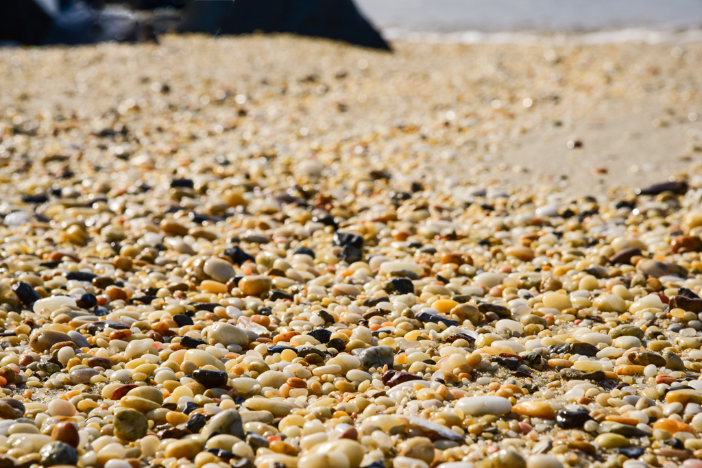 Finding Diamonds – Cape May Picture of the Day