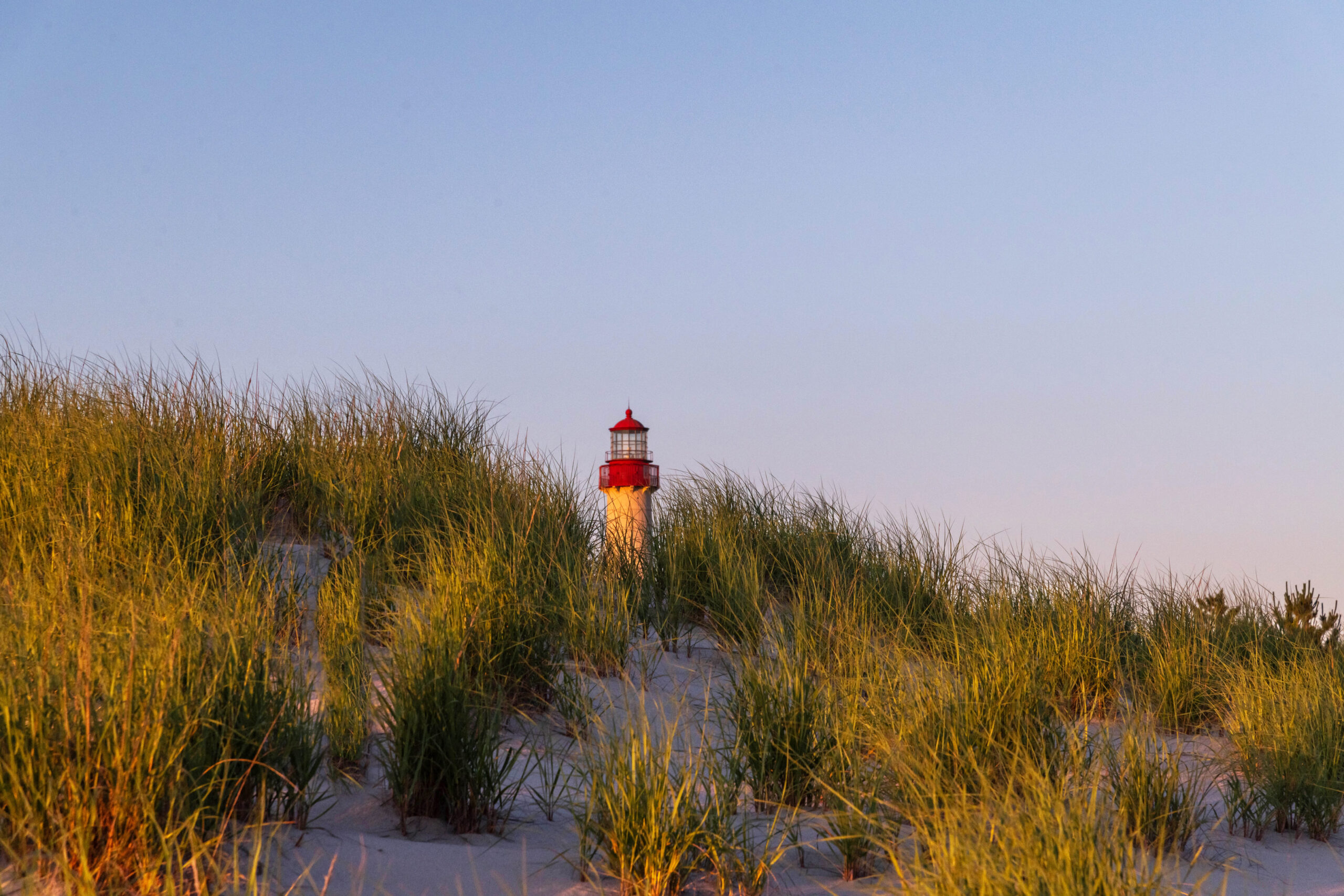 The Cape May Lighthouse behind green beach dunes. There is a clear blue sky, and sunlight is shining on the dunes and lighthouse.