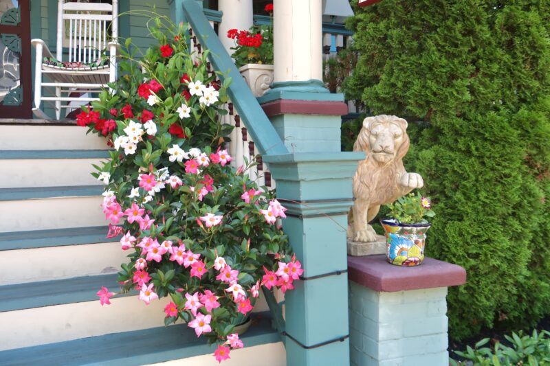 The staircase leading to the porch of captain Mey's Inn