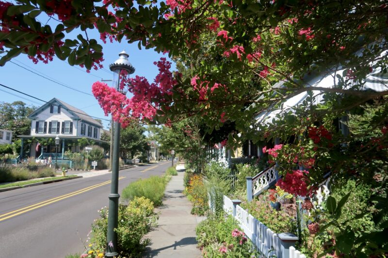 Flower framed sidewalk 