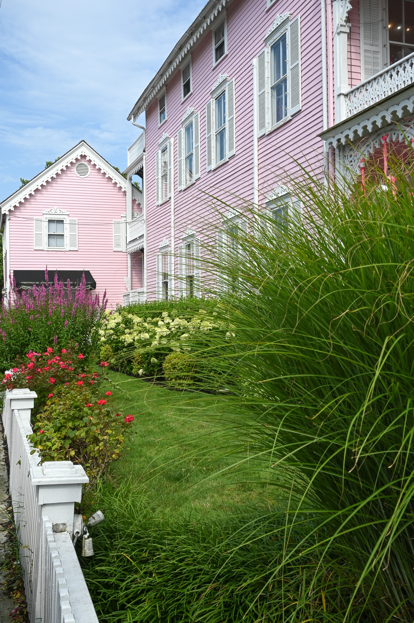 The Pink House side yard is full of happy colors