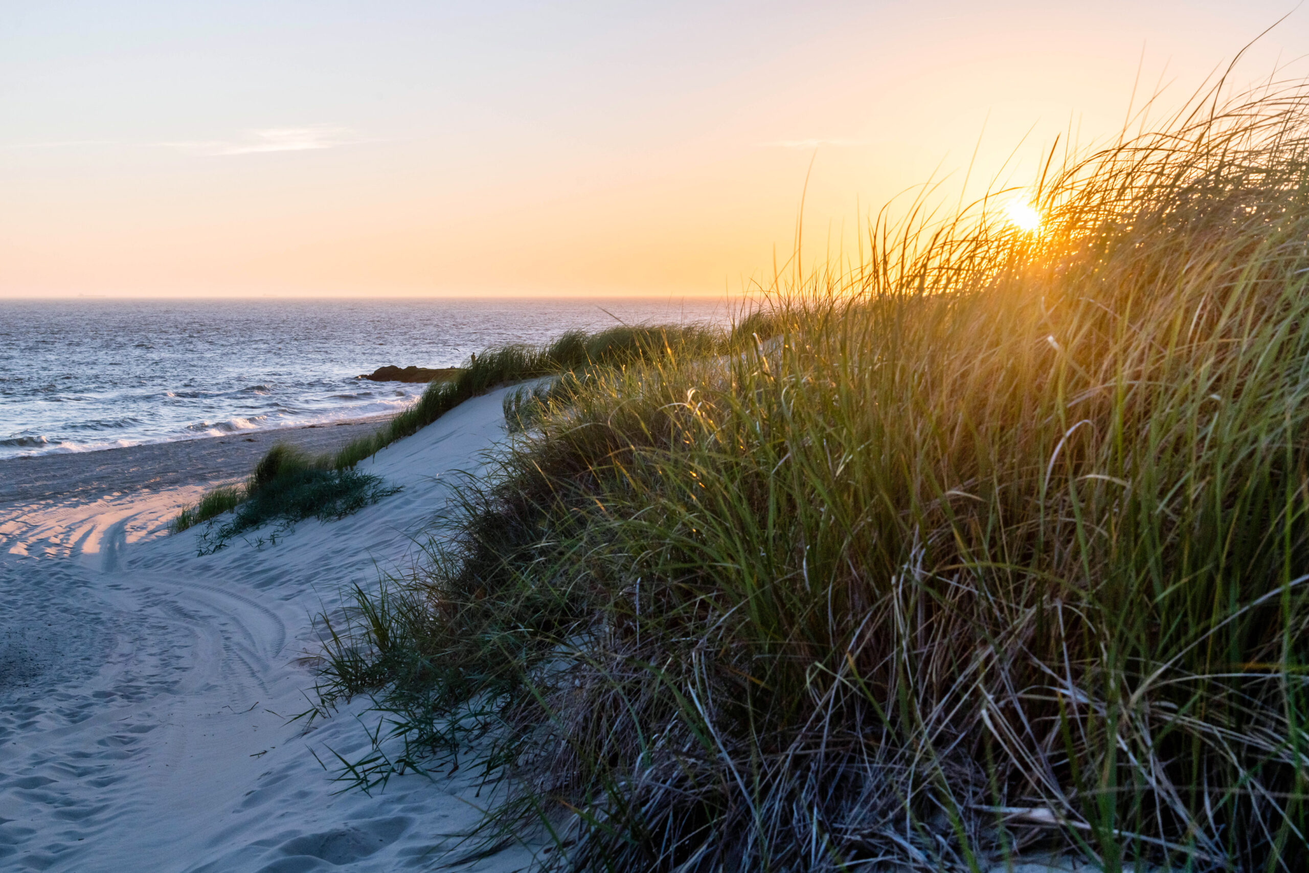 The sun setting and shining through green beach dunes with the ocean in the background and a clear sky.