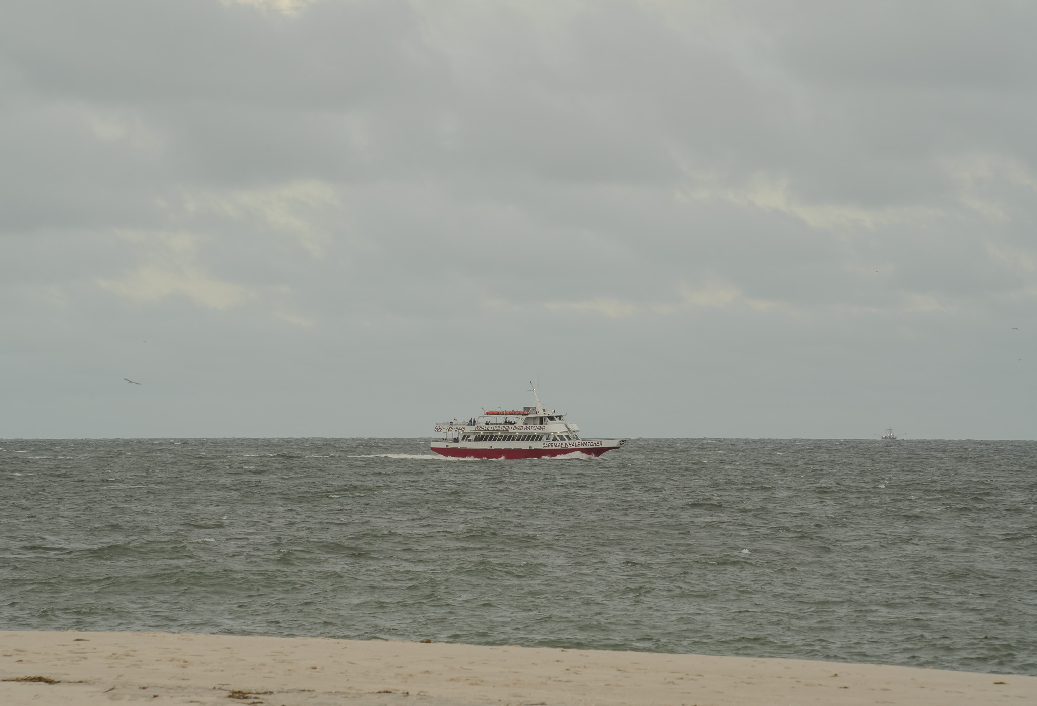 Evening Boat Ride on a windy night