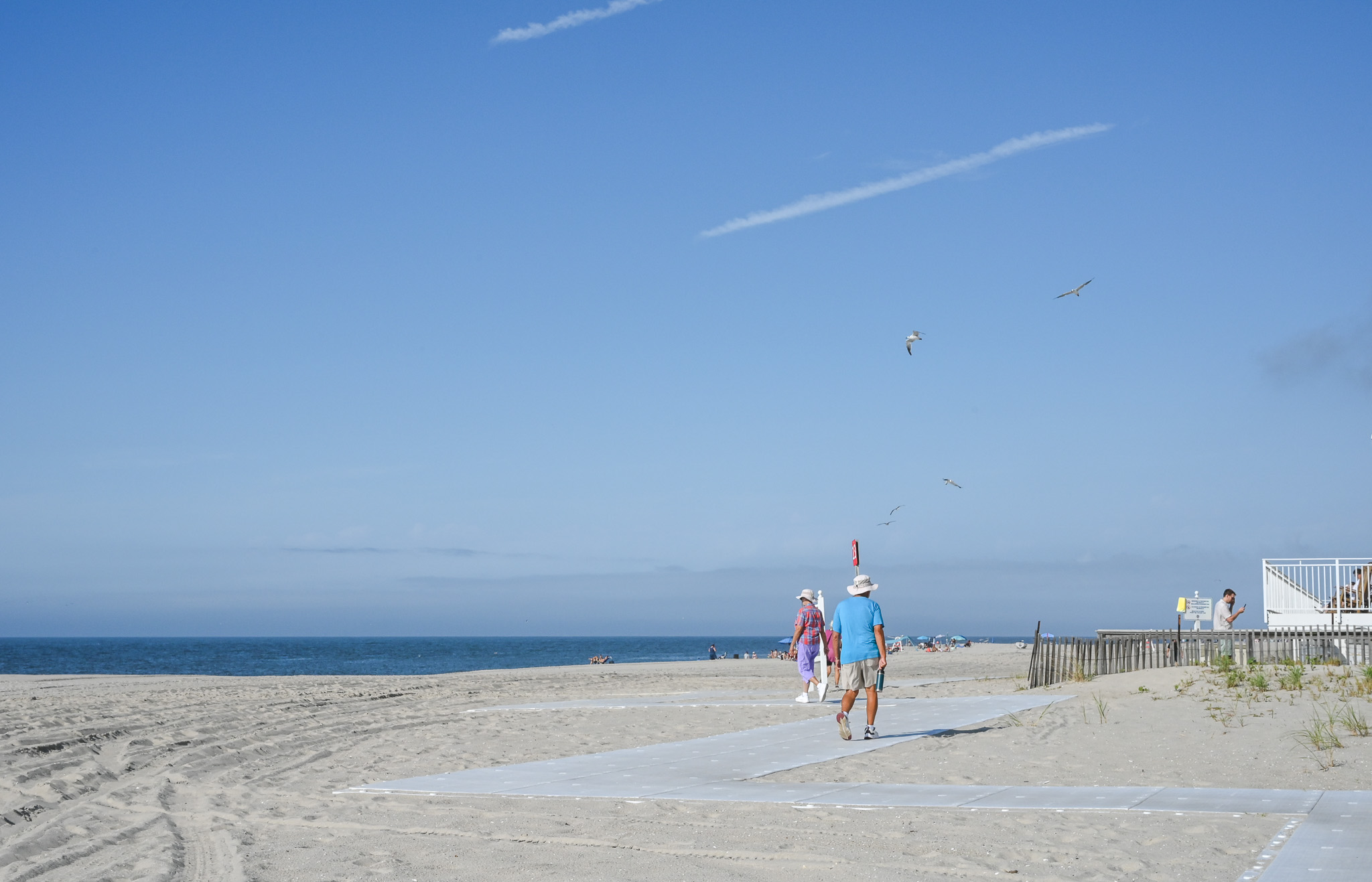 Seagulls Above while people walk along the beach