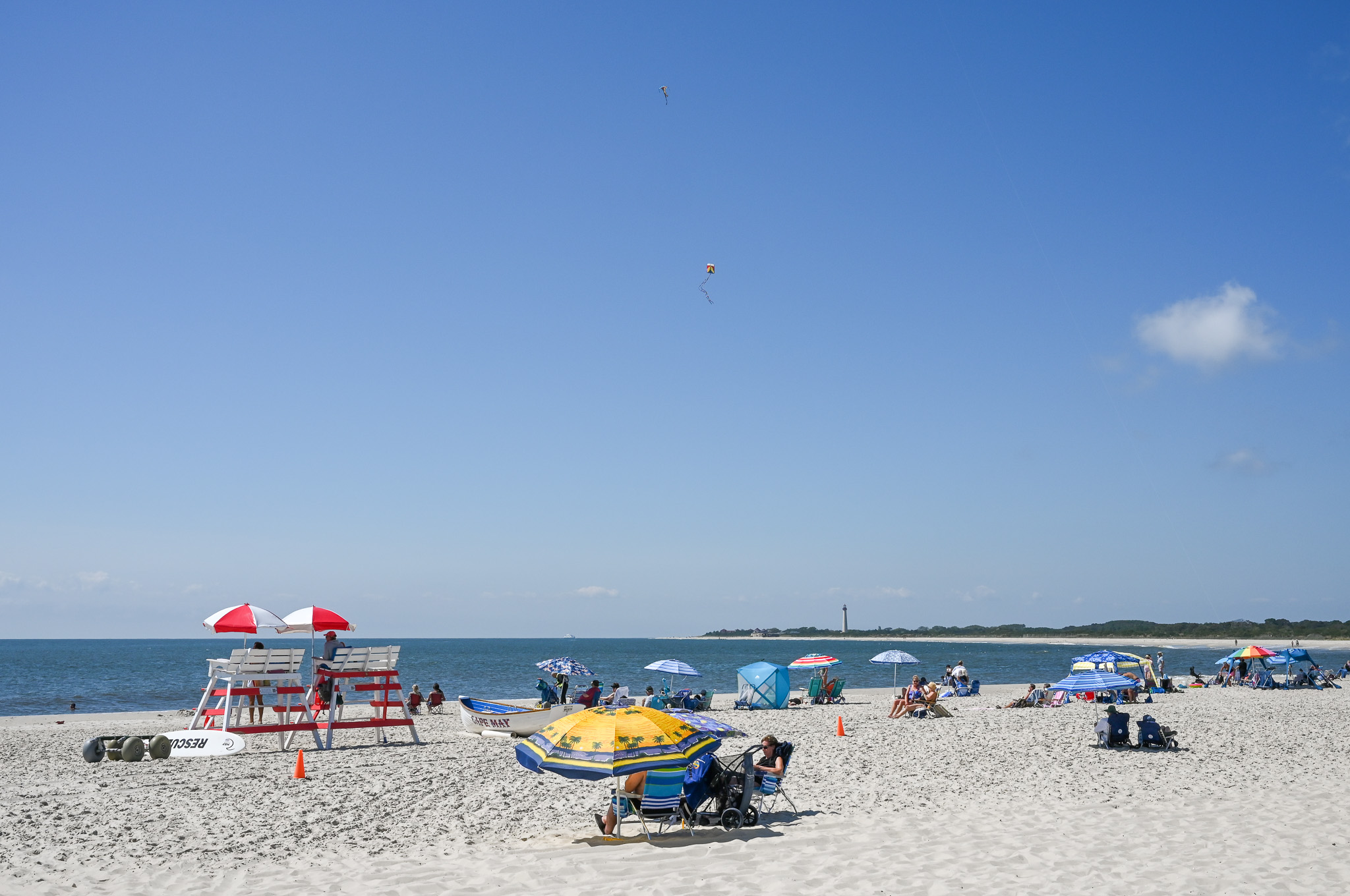 Kites in the Sky at the Cove