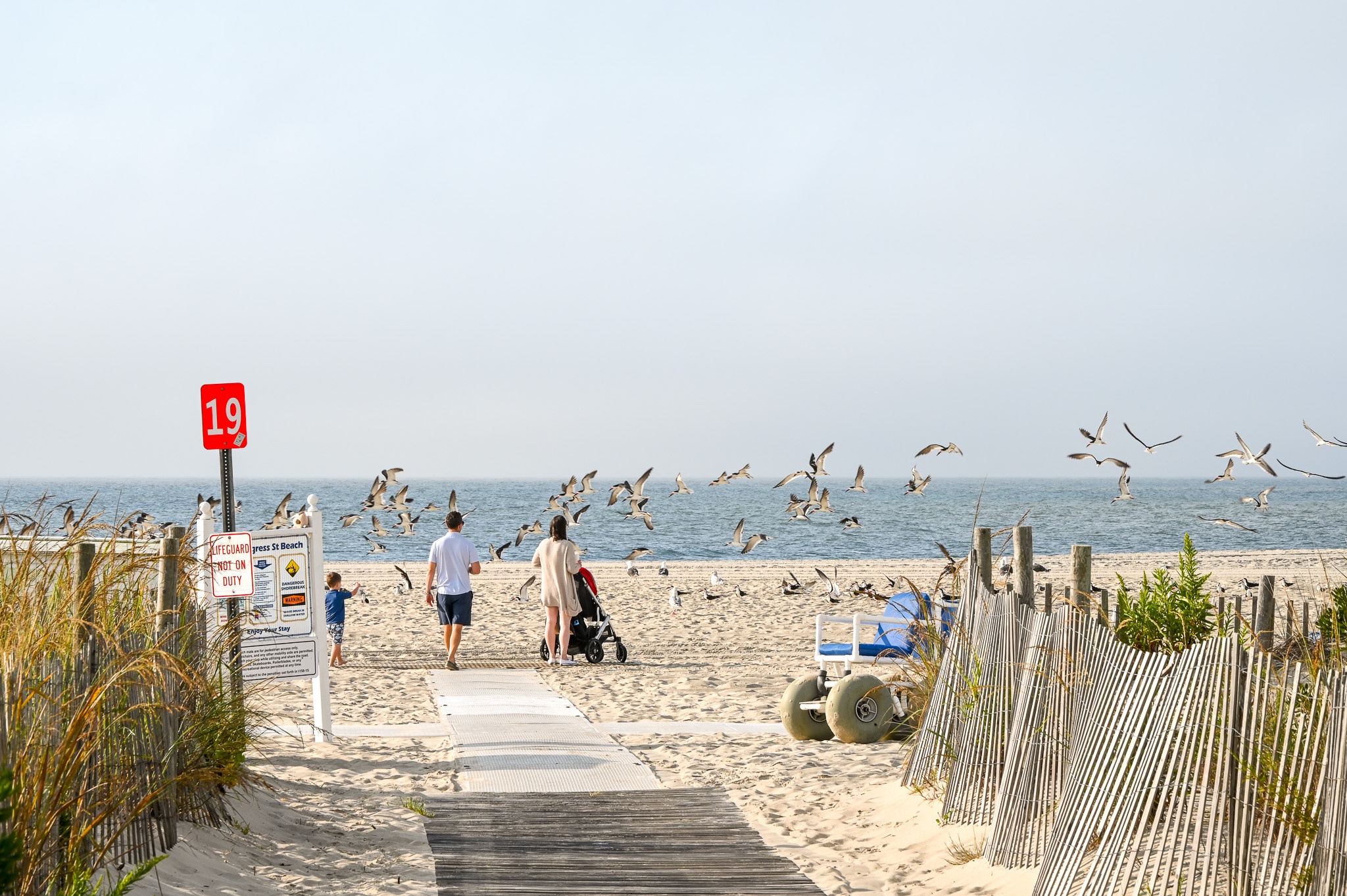 A family watching the birds fly by on the beach.