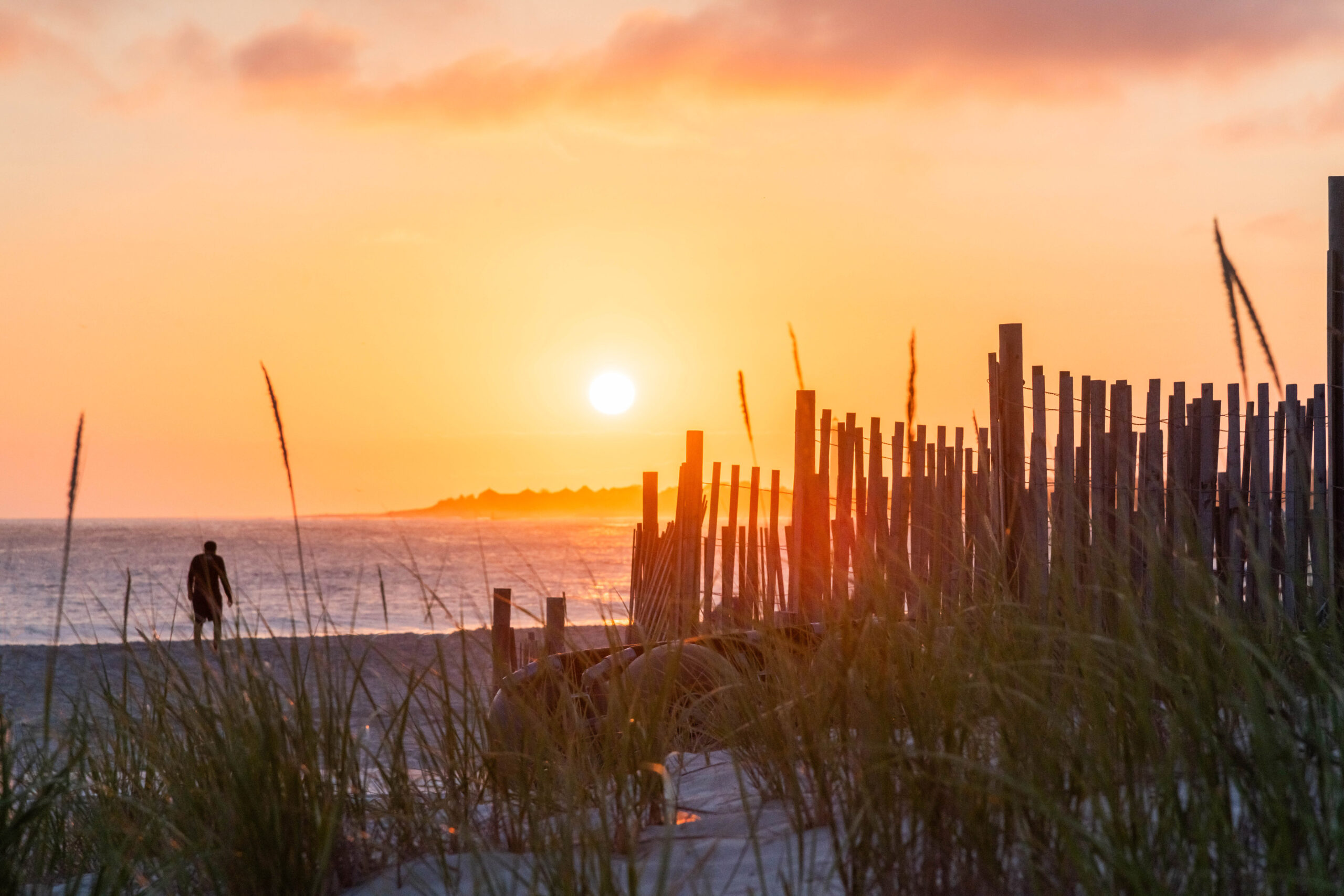 A person walking on the beach and the sun setting behind beach dunes and a wooden beach fence. The sky is golden yellow.