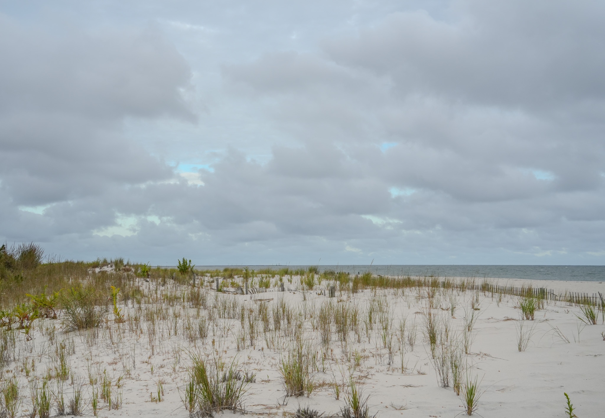 Early Evening on the beach