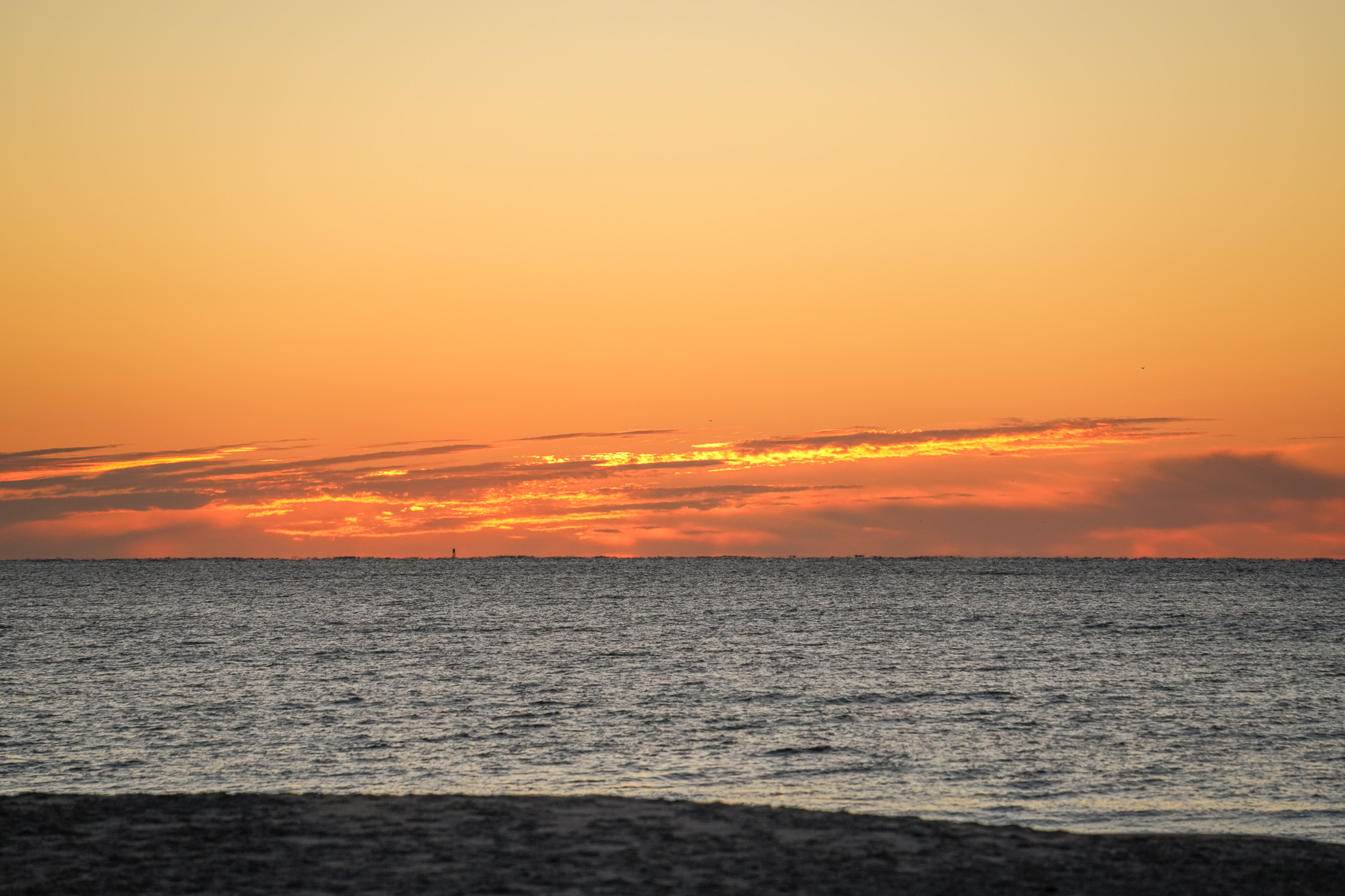 On the Beach Just Before Sunrise in Cape May