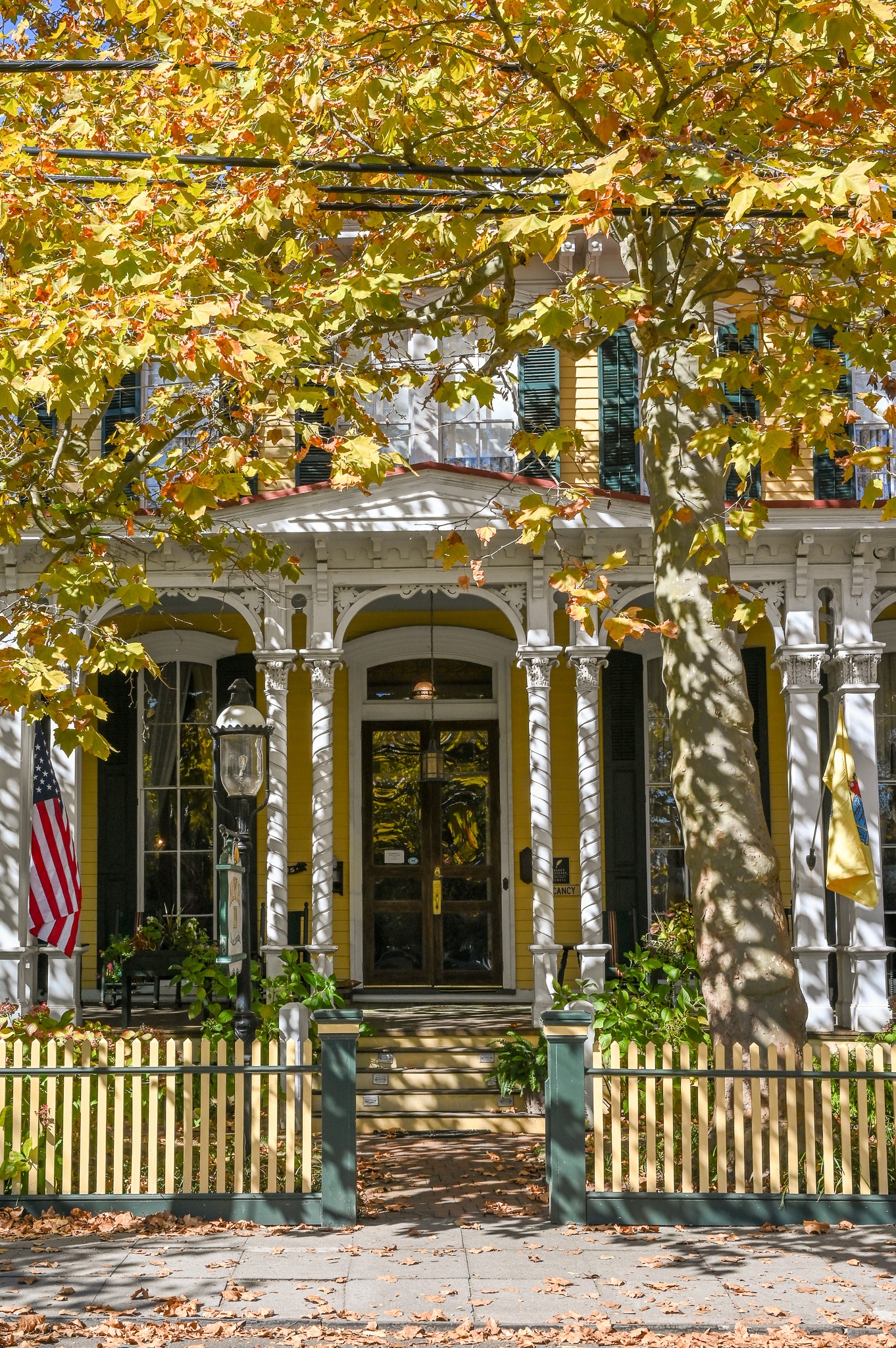 Autumn Leaves at the Mainstay