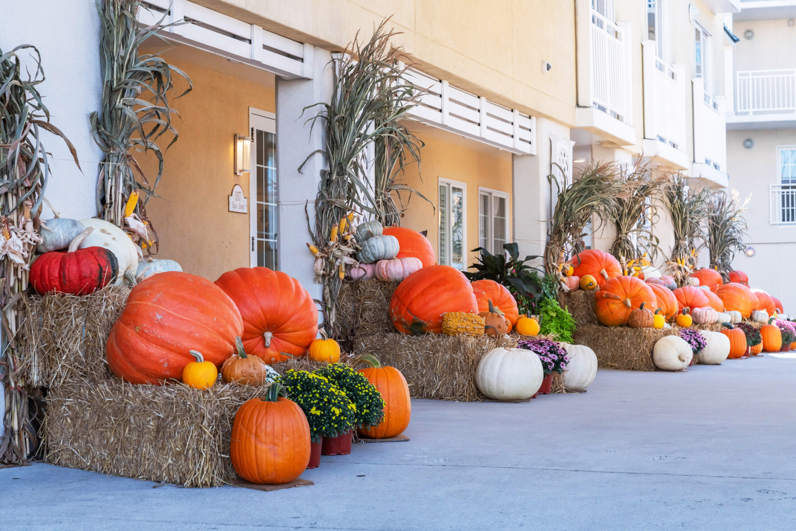 A row of big orange pumpkins, mums, and hay stacks stacked on top of each other in front of the entrance of La Mer hotel.