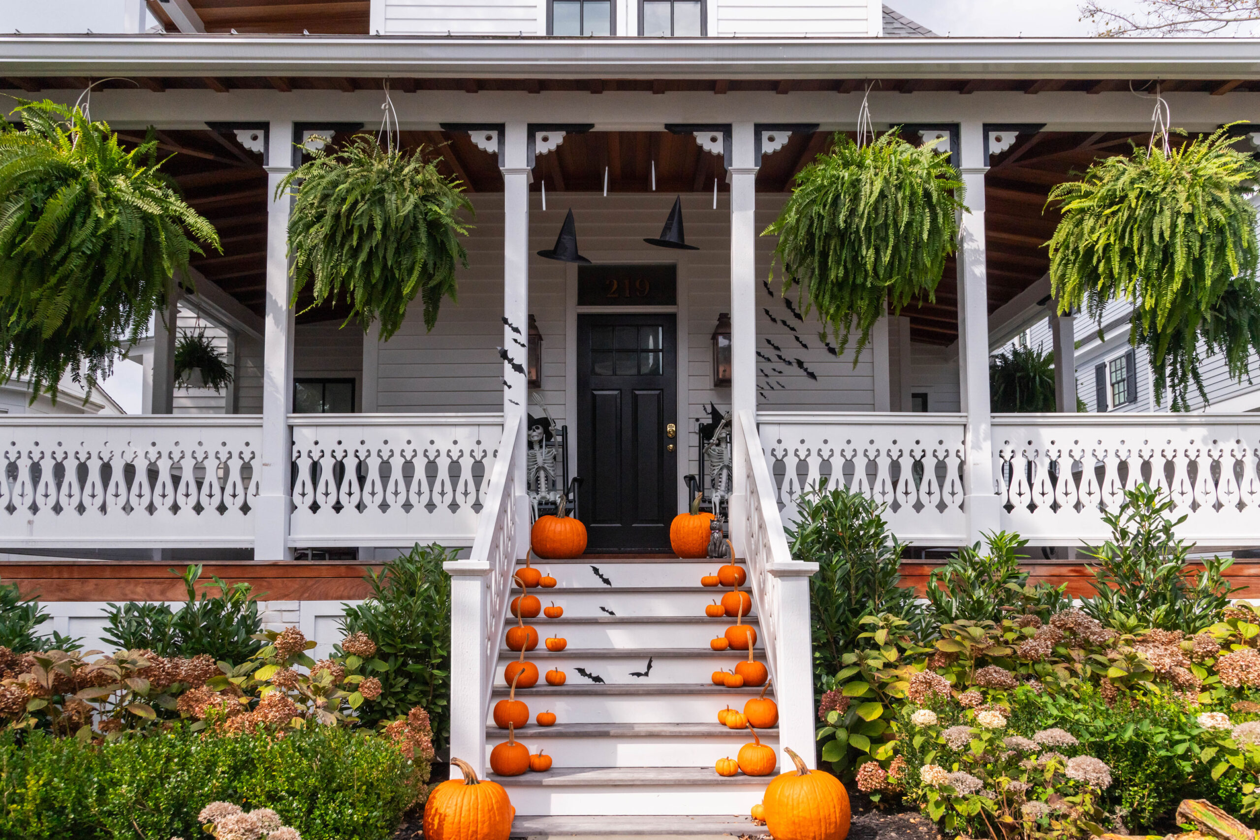 A white Victorian style front porch and stairs. There are medium and small orange pumpkins on the far left and far right of each stair leading up to the porch. There are two large orange pumpkins at the top of the porch and at the bottom of the stairs. There are two black witches hats hanging in front of the door, and there are two skeletons sitting in rocking chairs next to the front door. There are four green leafy hanging plants on the porch. Other green plants, old hydrangea, and other miscellaneous green landscaping in front of the porch on both sides of the stairs.