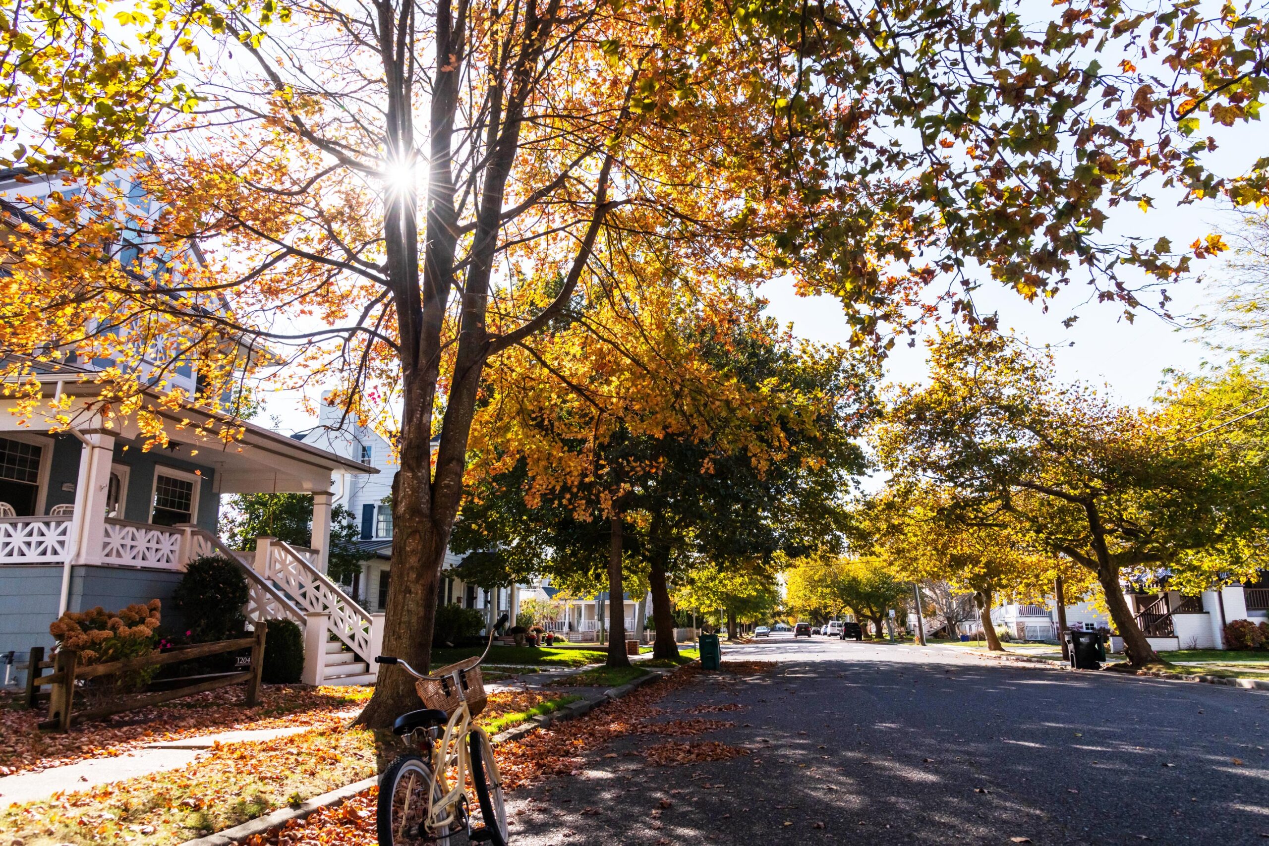 The sun shining through a tree with orange, yellow, and green leaves on a street in Cape May. There is a bike by the tree, and a Victorian home and porch behind the tree.