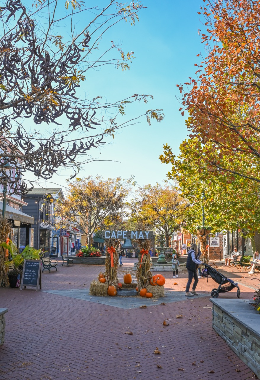 Fall on the Mall