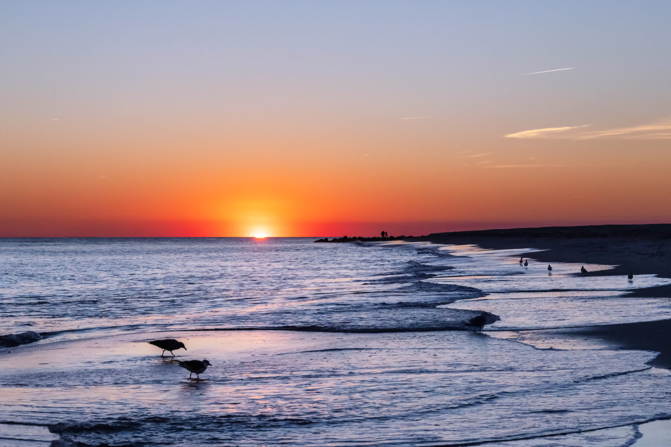 Birds silhouetted in the ocean at sunset. The sky is clear and blue and orange. The sun is bright and just dipping below the horizon.