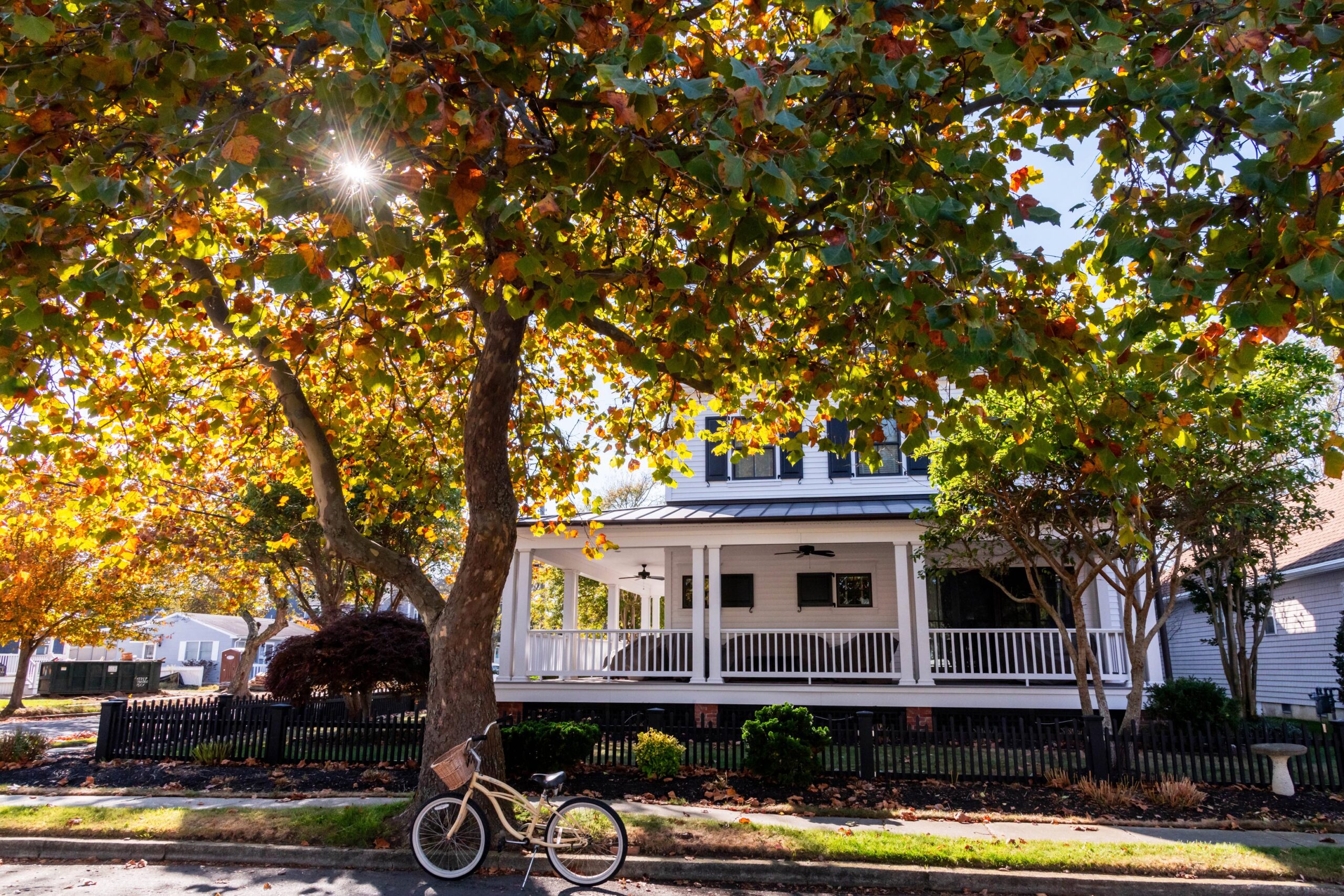 The sun shining through green and yellow leaves on a tree on a street in Cape May. A front porch from a white house is pictured behind the tree. A yellow bike is in front of the tree.