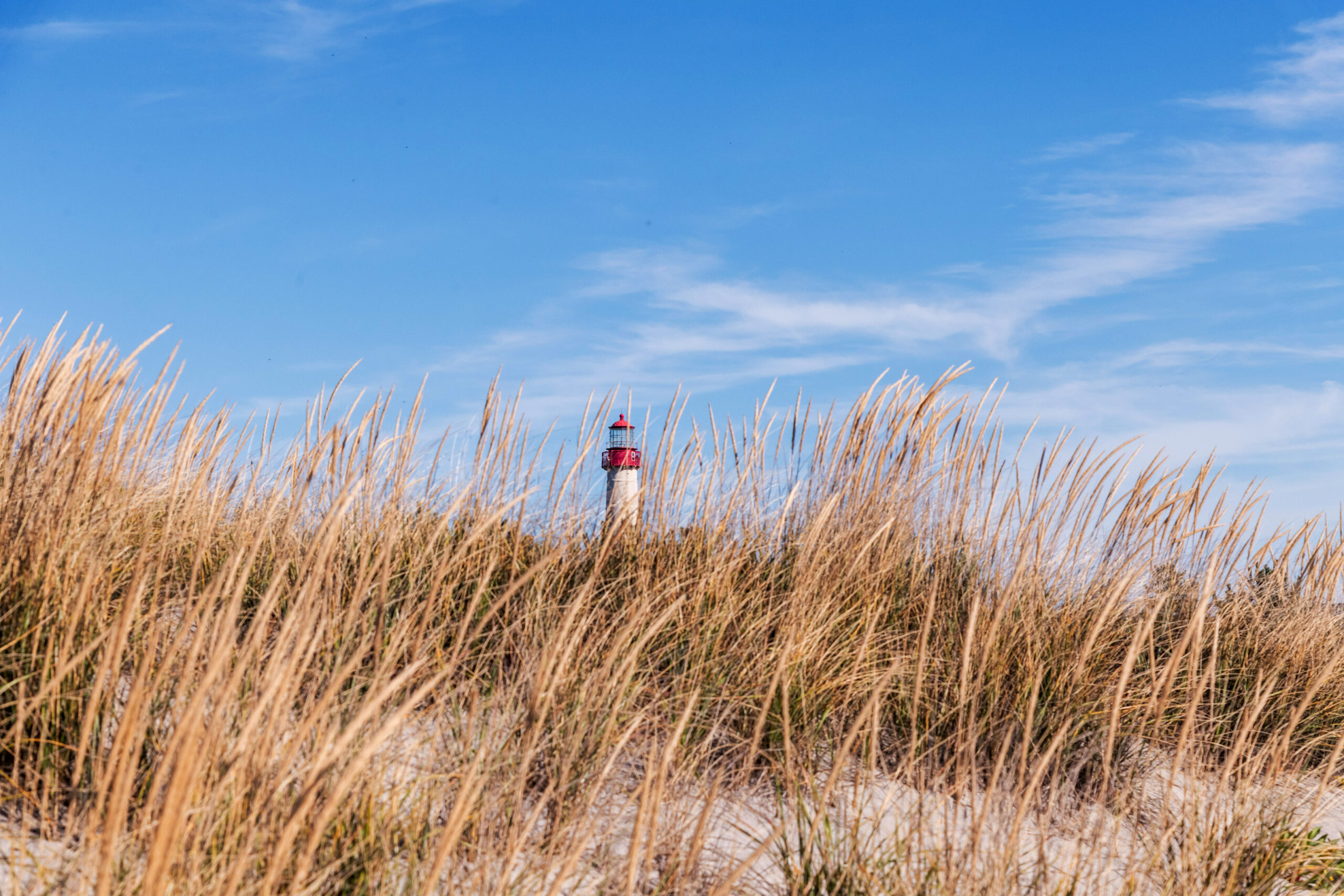 The Cape May Lighthouse pictured through orange beach dunes. There is a birght clear blue sky with a few wispy clouds. The top of the lighthouse looks bright red against the sky.