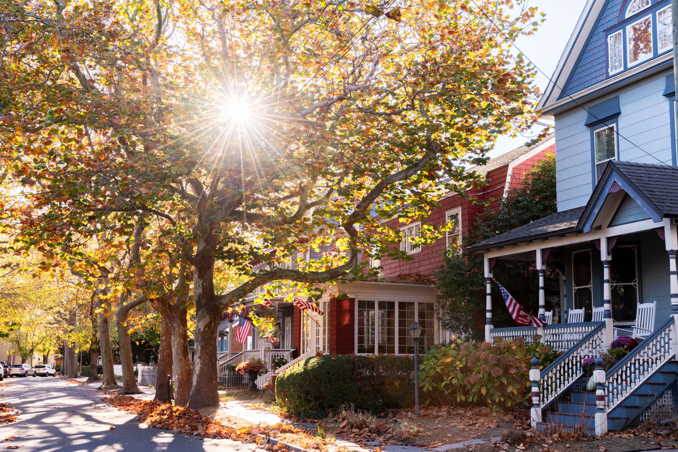 The sun shining through trees with colorful fall leaves on Hughes Street. There are red and blue Victorian houses on the right side of the street next to the trees.