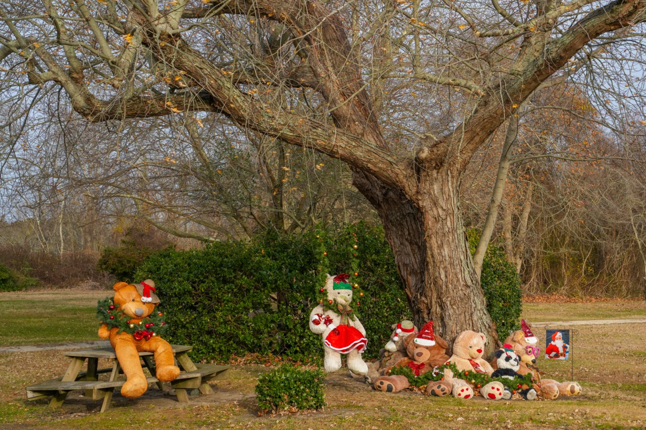 Holiday Bears on Sunset Blvd.