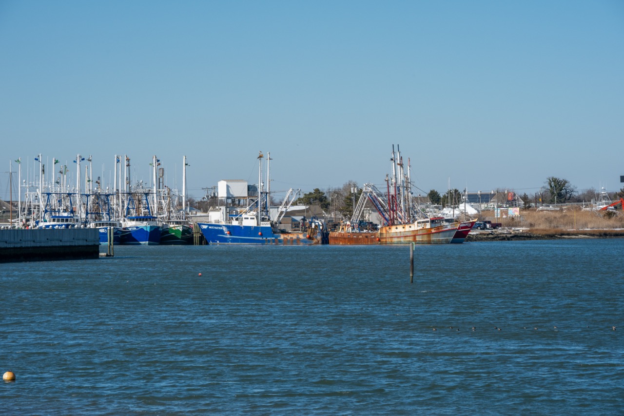 The Cape May Harbor