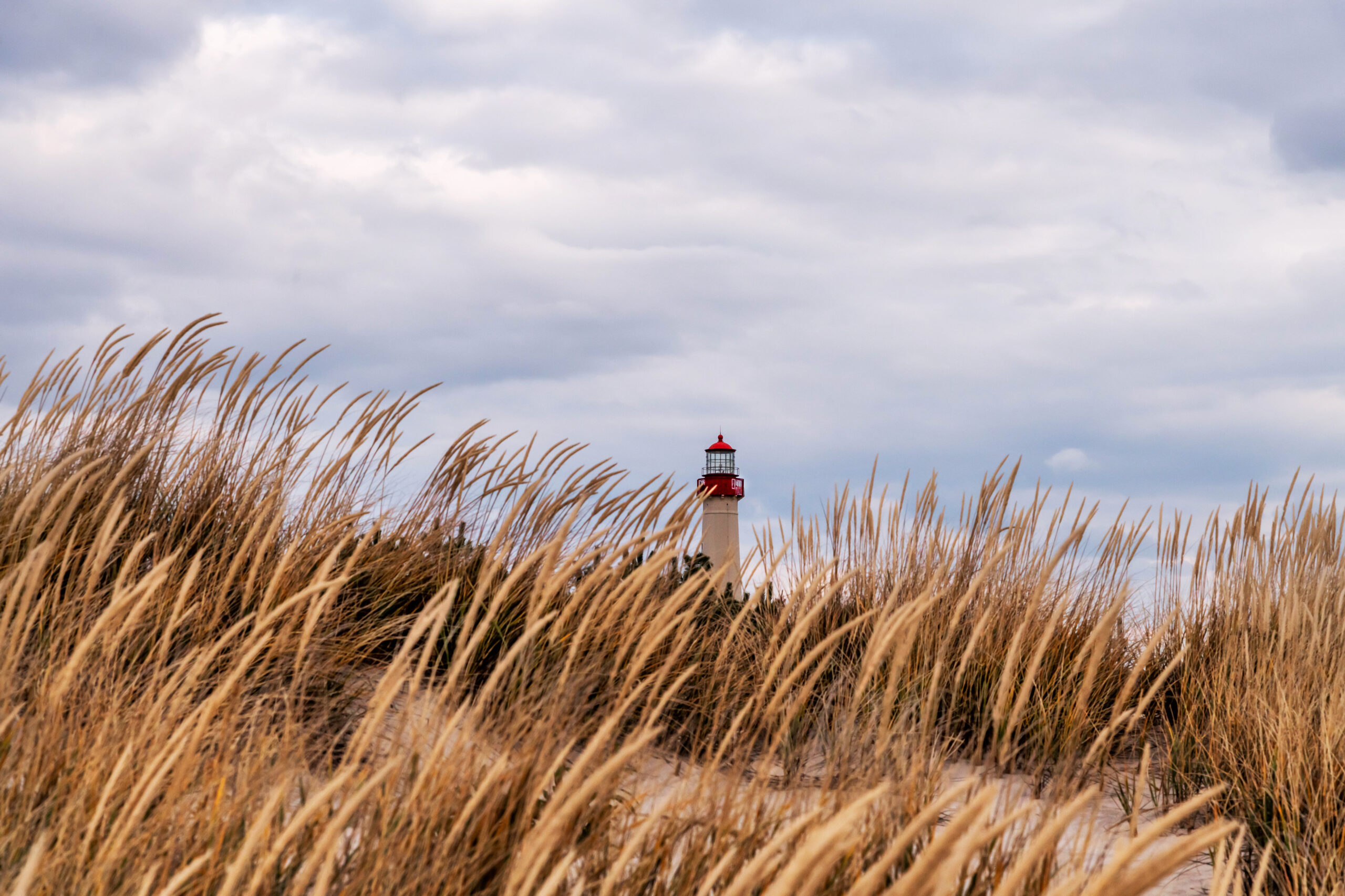 A wide view of orange beach dunes in front of the Cape May Lighthouse with a cloudy gray sky.