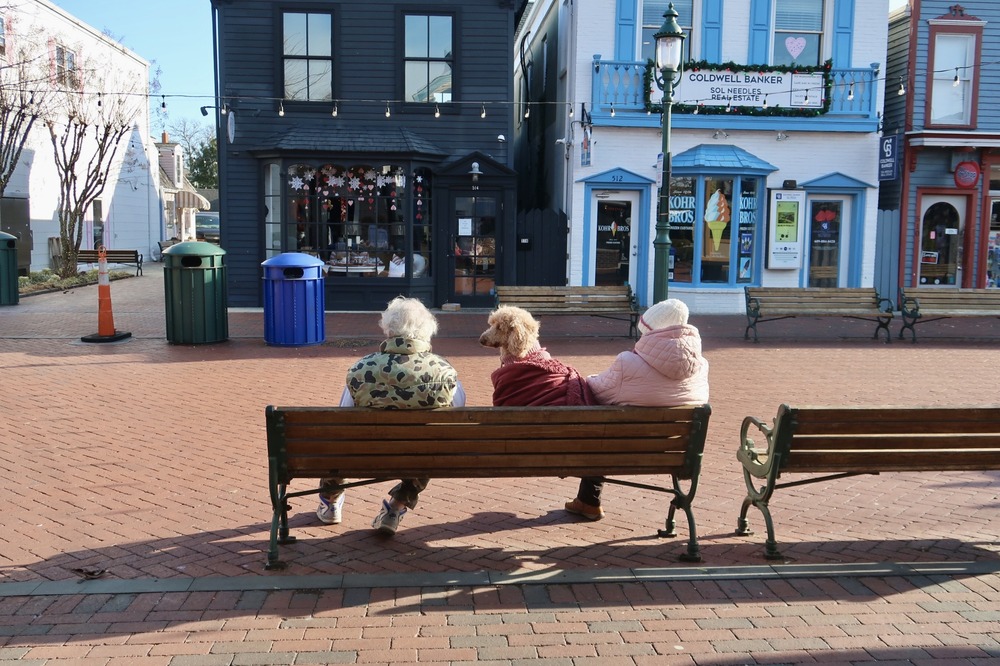 A couple and their dog bundled up on the Washington Street Mall