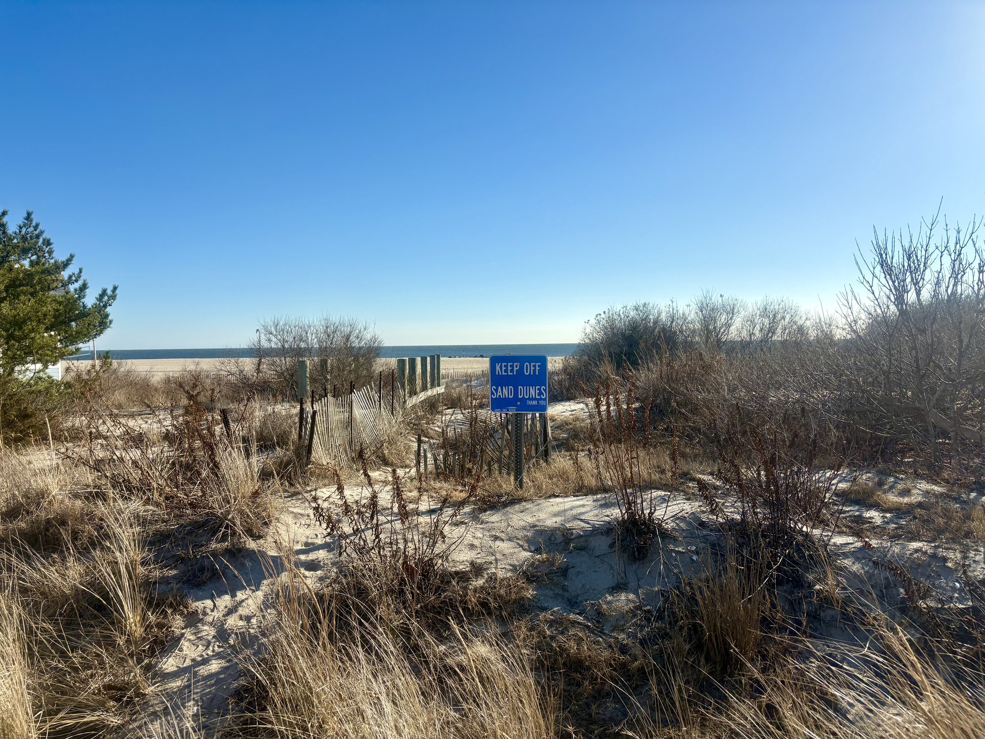 Keep off sand dunes sign at Steger's beach