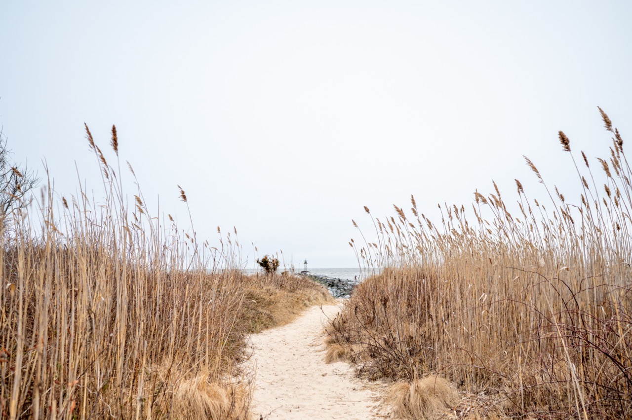 Beach Path at Higbee's Beach