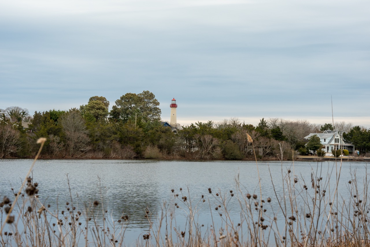 Looking Over Lake Lilly and the Cape May Lighthouse is standing tall.