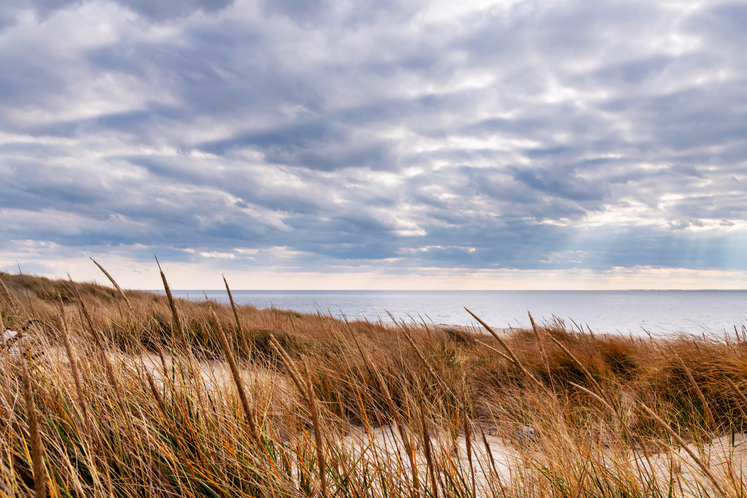 A wide view of clouds in the sky and the ocean through beach dunes. The clouds are thin and dark blue gray, and sunlight is streaming through them. 