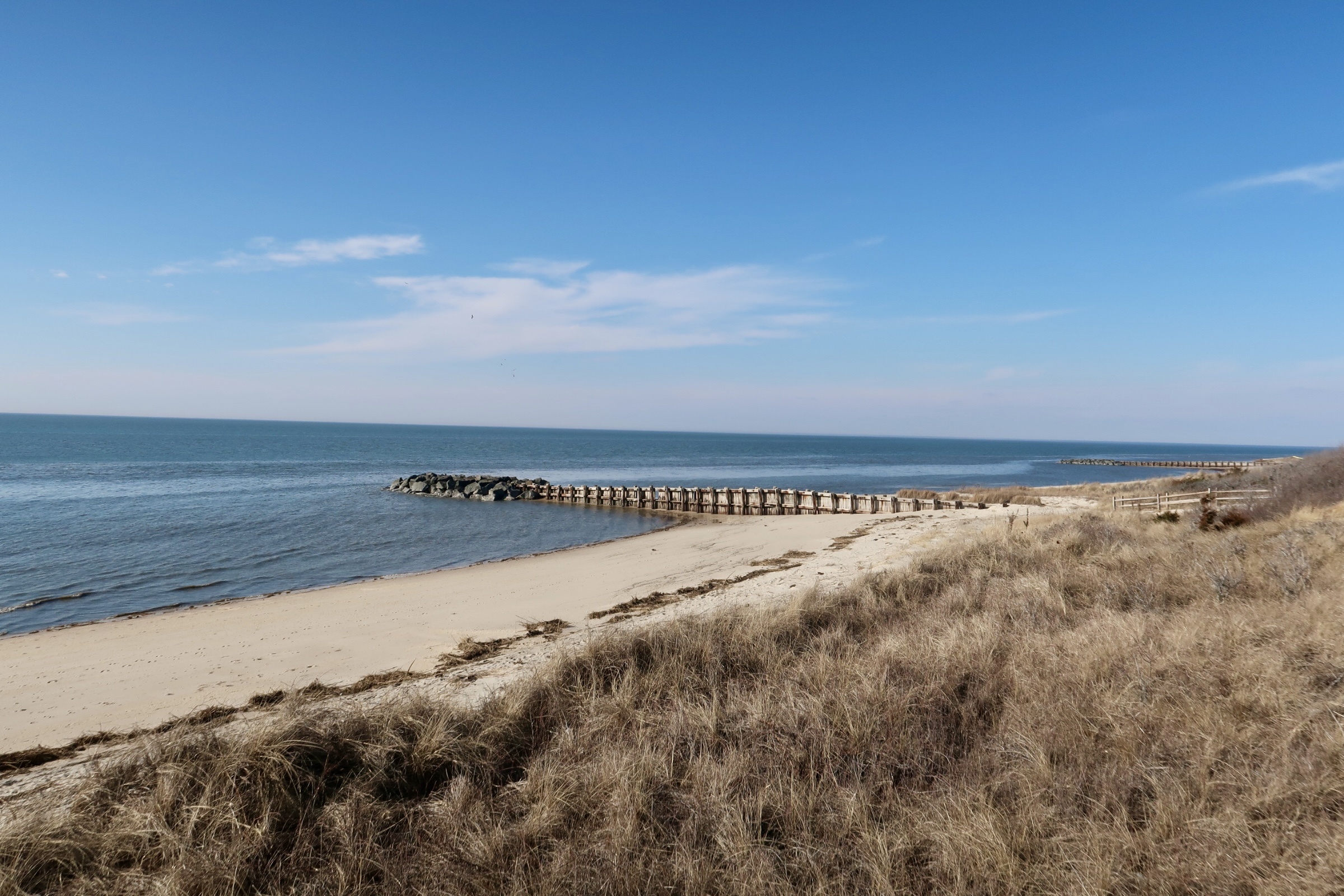 Point of view of the Delaware Bay from the dunes