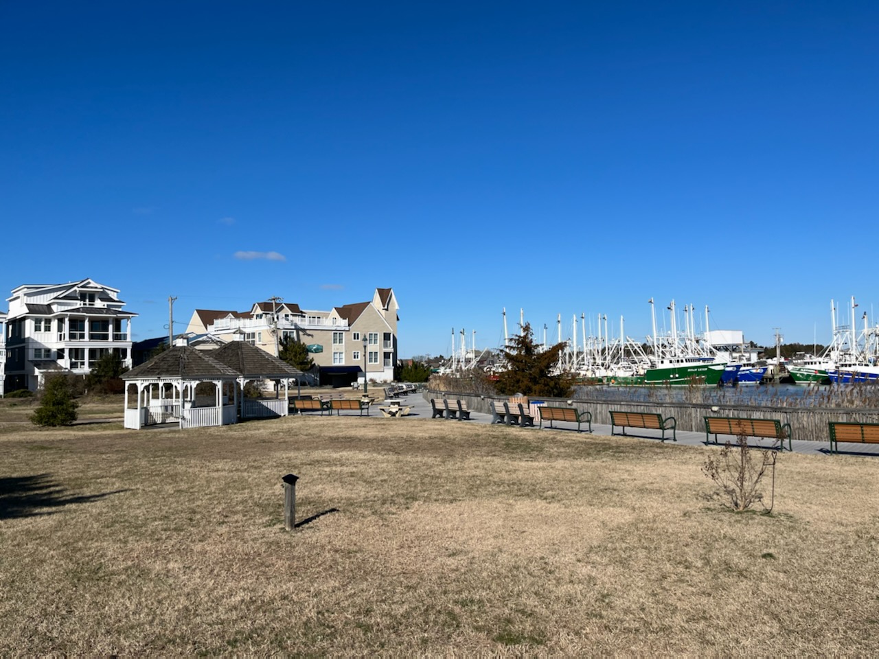 Harbor View Park - Celebrate in Cape May